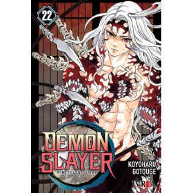 Demon Slayer Kimetsu No Yaiba 22